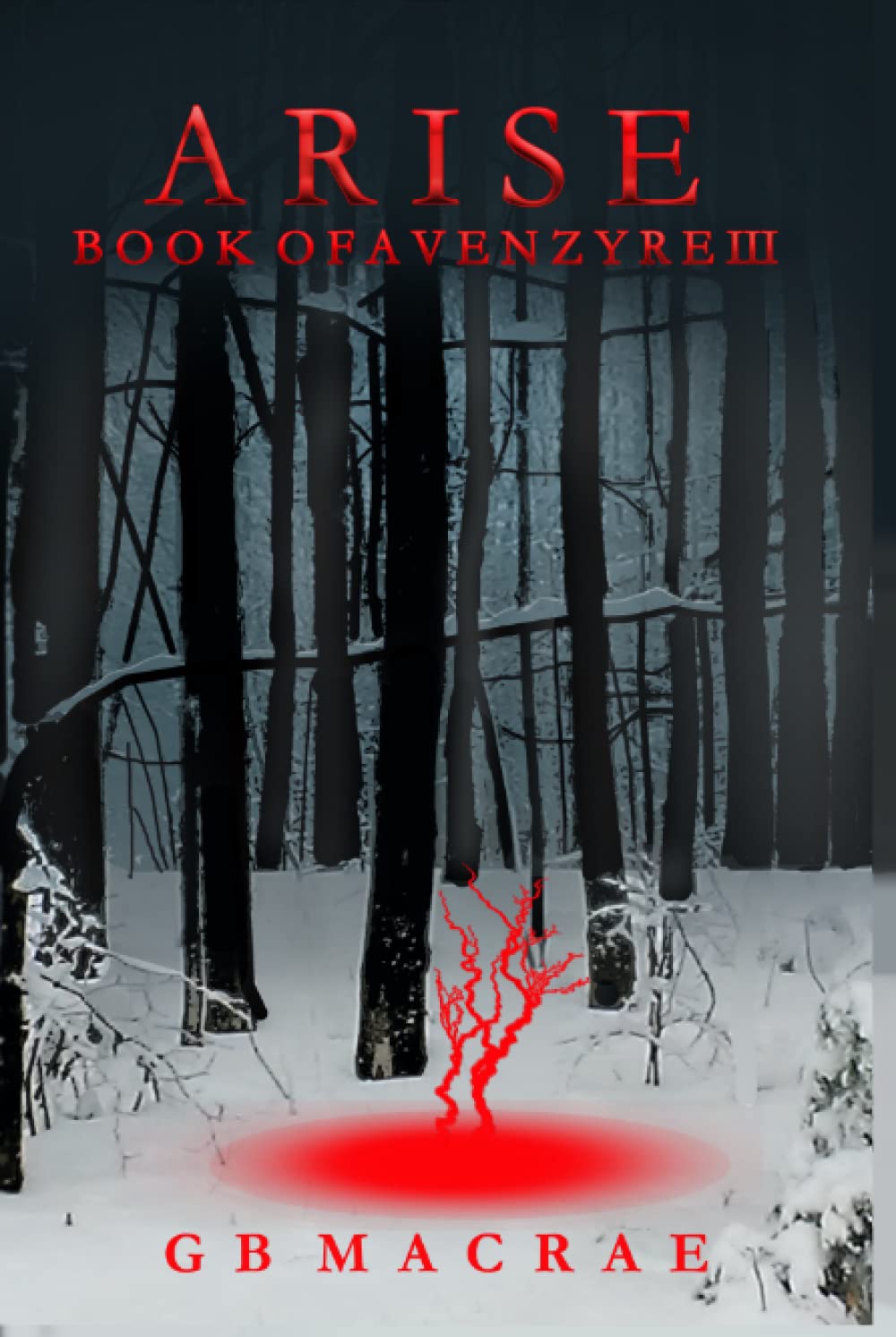 Cover for Arise, Book of Avenzyre III